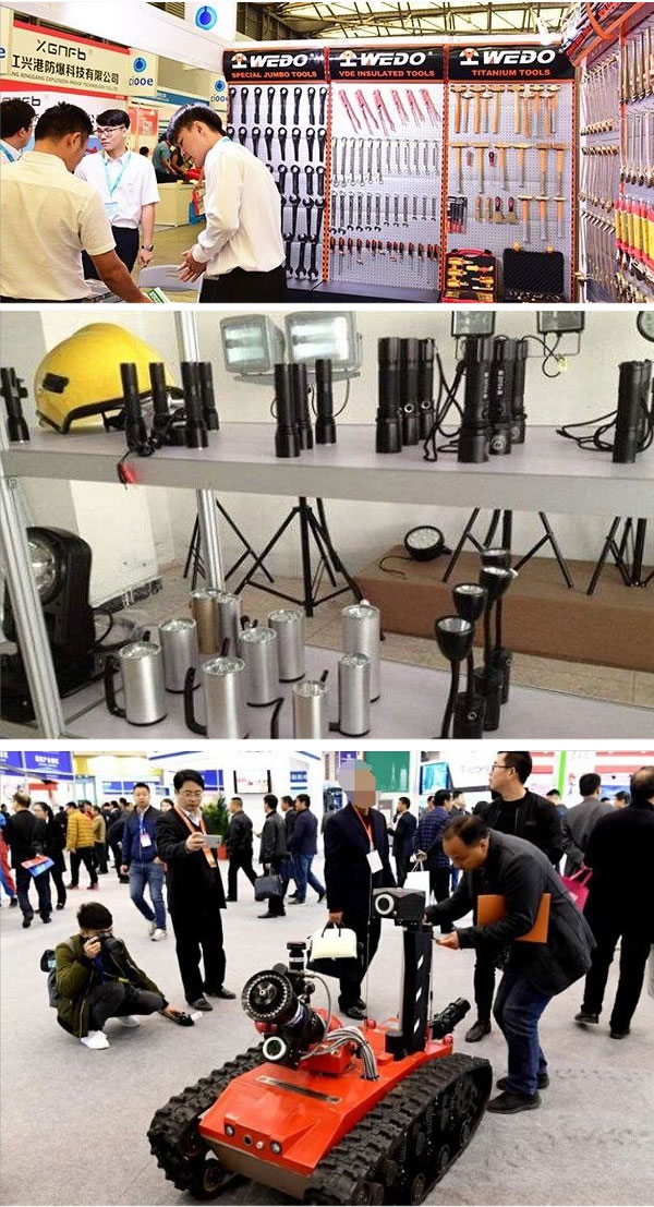 為中國(guó)打造世界級(jí)的防爆品牌——上海國(guó)際防爆電氣技術(shù)設(shè)備展8月在滬舉辦(圖3)