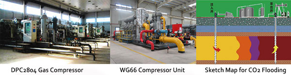  Welcome to Jerrywon at cippe2020(圖2)